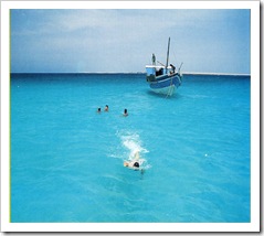 Marea Rosie