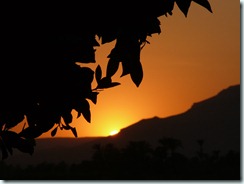 2008-07-10 19-32-47