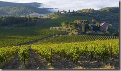 tuscan landscape